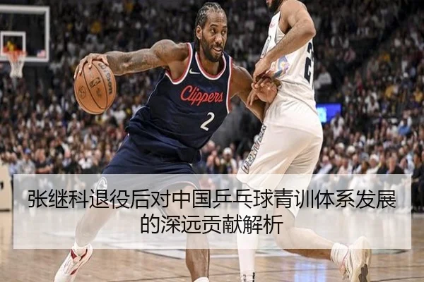 张继科退役后对中国乒乓球青训体系发展的深远贡献解析